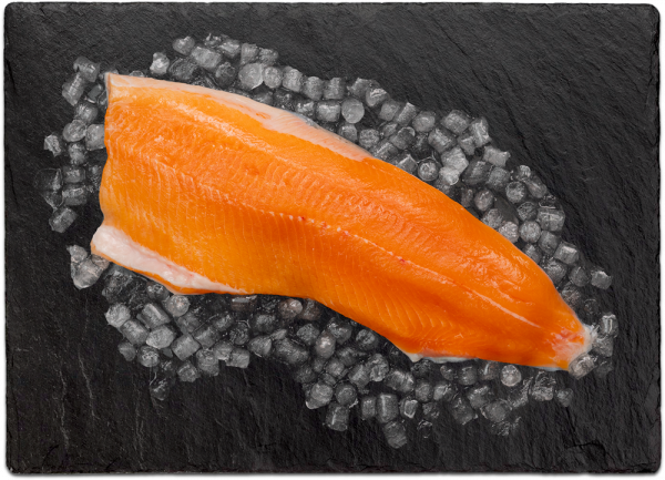 Arktisches Seesaibling Filet