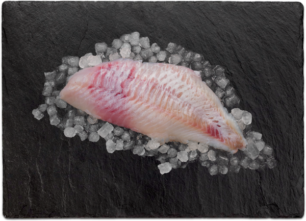 Rotbarschfilet