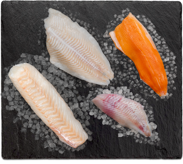 Premium-Filets - Einfach mein Fisch Premium-Filets - Einfach mein Fisch